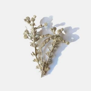 Botanical specimen jewelry in silver Marian Hosking