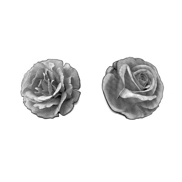 Roses Series by Bryan Parnham