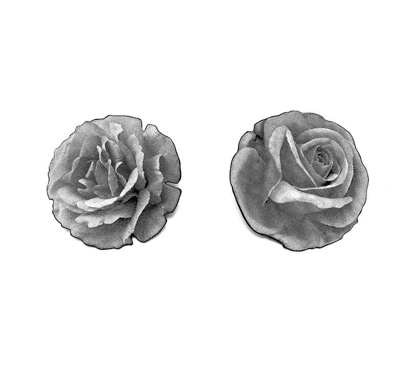 Roses Series by Bryan Parnham