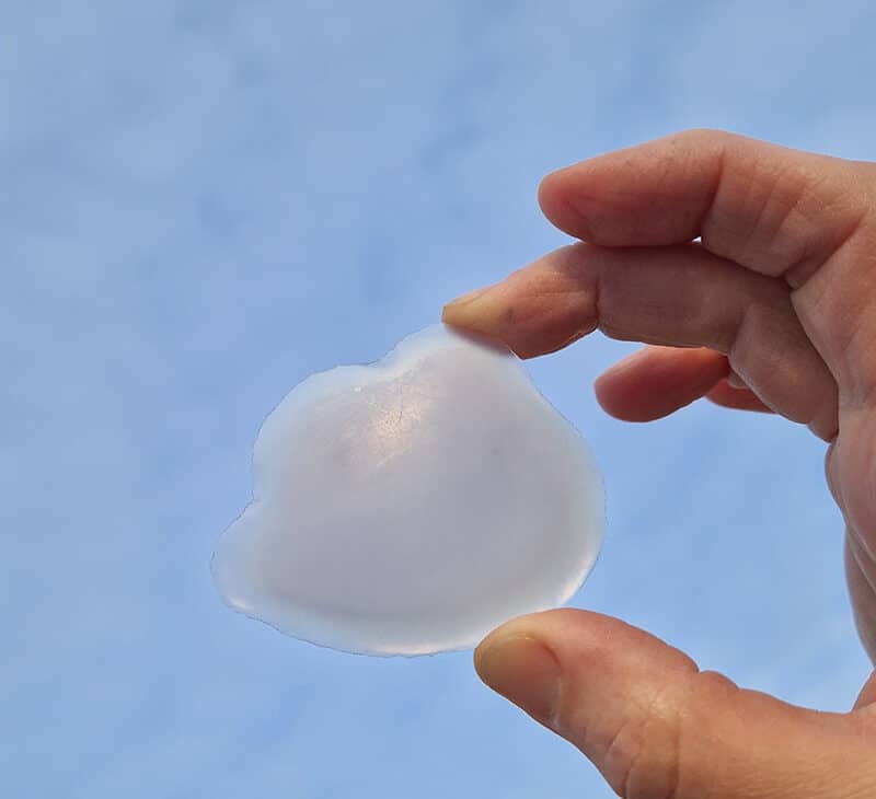 Fascinating jewelry by Julia Maria Künnap