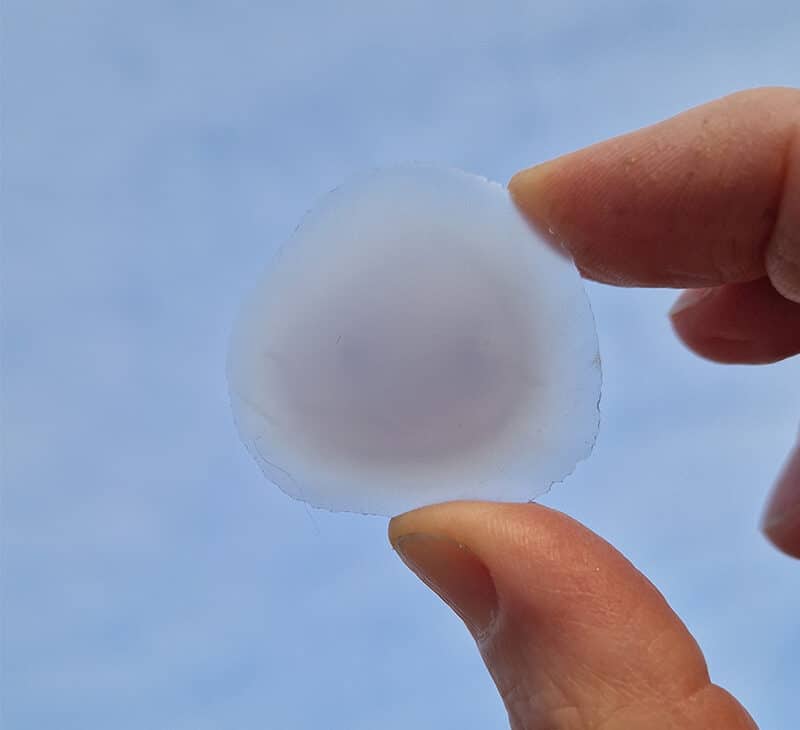 Fascinating jewelry by Julia Maria Künnap